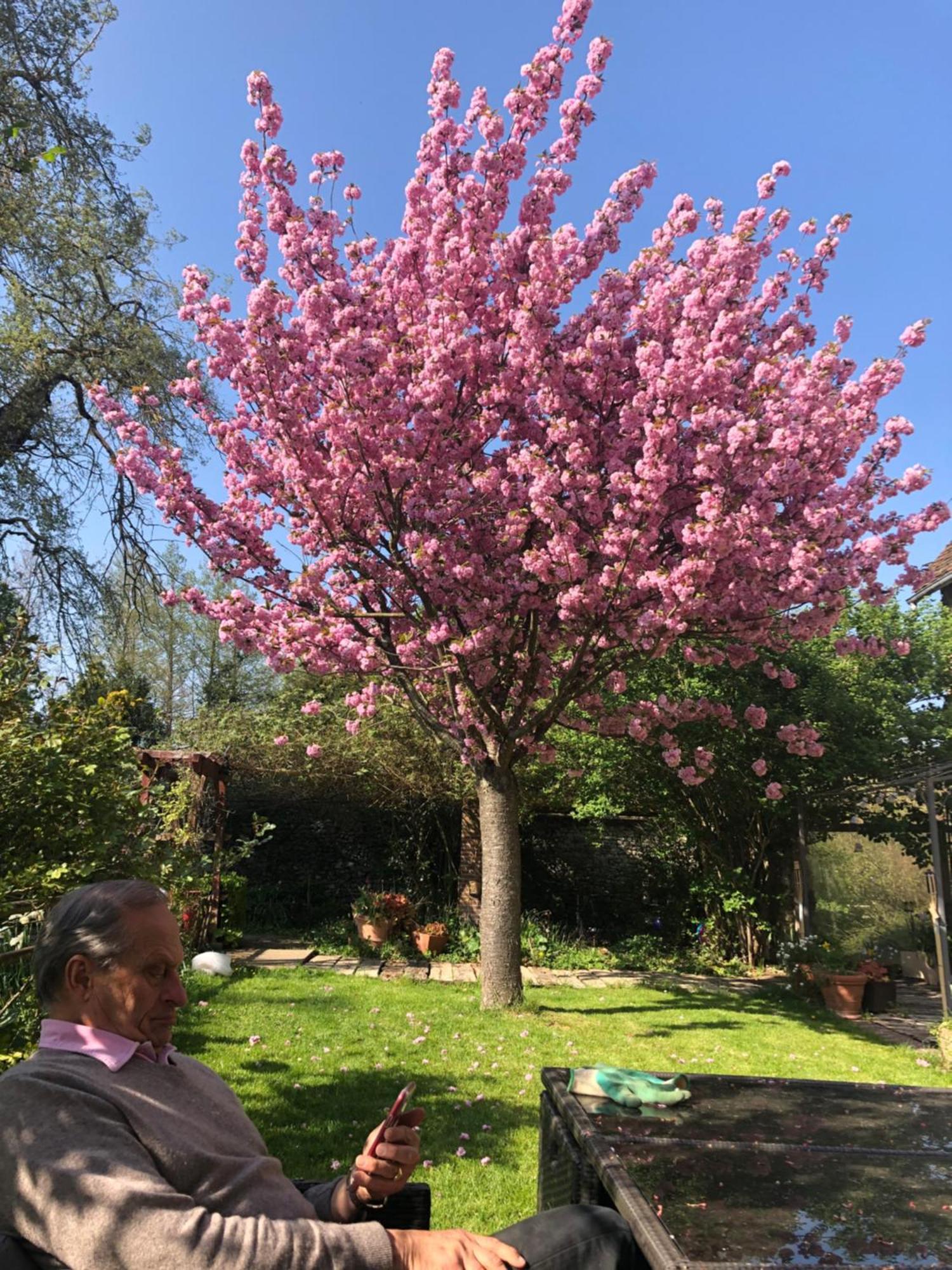 Сasa de vacaciones Le Moulin De Dannemarie Dannemarie (Yvelines)